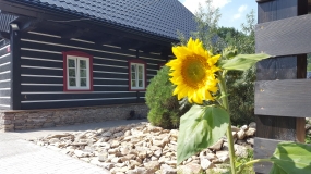 Léto vrcholí